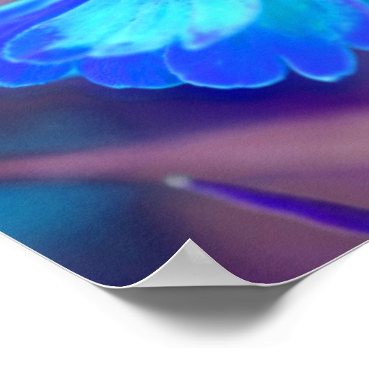 Dreamweaver Blue Zinnia Abstracte bloemkunst Poster (Hoek)