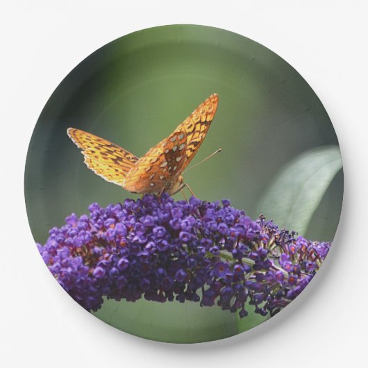 Dreamweaver Butterfly Bord (Voorkant)