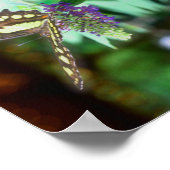 Dreamweaver Butterfly on Flower Natuur Abstract Poster (Hoek)