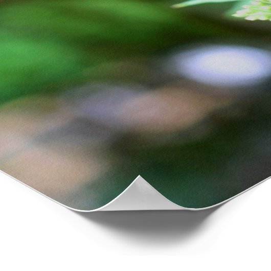 Dreamweaver Butterfly on Flower Natuur Poster (Hoek)