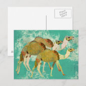 Dreamweaver Camels Briefkaart (Voorkant / Achterkant)
