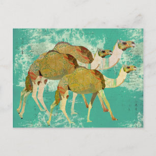 Dreamweaver Camels Briefkaart