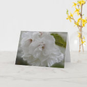 Dreamweaver Cherry Blossom AH2010 Kaart (Gele Bloem)