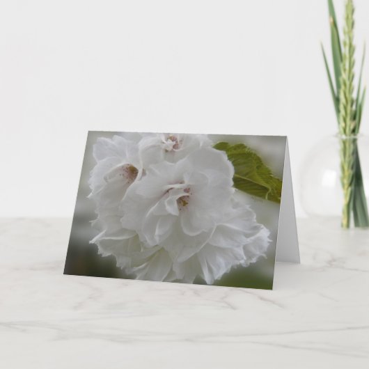 Dreamweaver Cherry Blossom AH2010 Kaart (Voorkant)