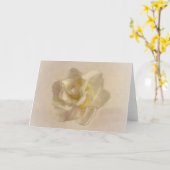 Dreamweaver Creamy White Jonquilla Flower Art Note Kaart (Gele Bloem)