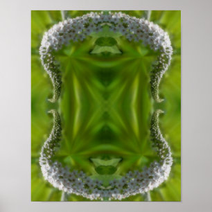 Dreamweaver Curling White Wildflower Abstract Poster