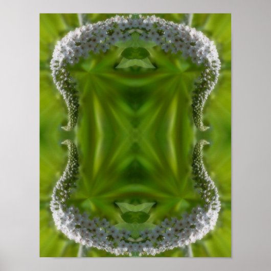 Dreamweaver Curling White Wildflower Abstract Poster (Voorkant)