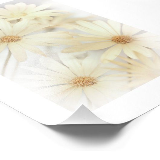 Dreamweaver Daisies 2 Foto Afdruk (Hoek)