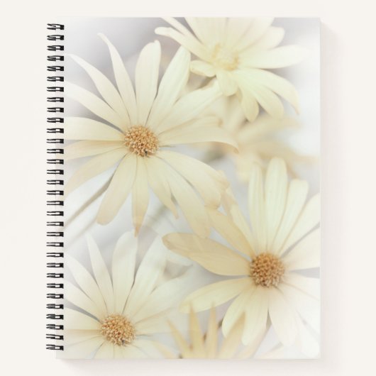 'Dreamweaver Daisies 2' Notitieboek (Voorkant)