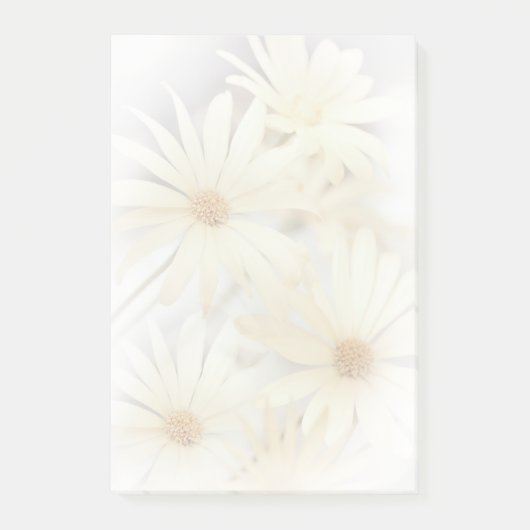 Dreamweaver Daisies 2 Post-it® Notes (Voorkant)