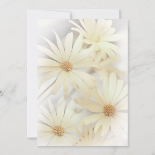 'Dreamweaver Daisies 2' slaat de datum op Save The Date (Achterkant)