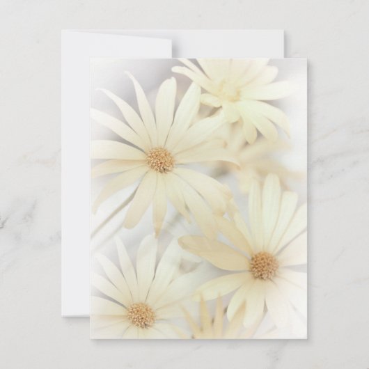 "Dreamweaver Daisies 2" Uitnodiging (Achterkant)
