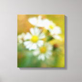 Dreamweaver' Daisies Canvas Afdruk (Voorkant)