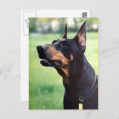 Dreamweaver Doberman Pinscher Face Painting Briefkaart (Voorkant / Achterkant)