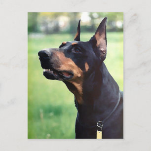 Dreamweaver Doberman Pinscher Face Painting Briefkaart