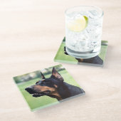 Dreamweaver Doberman Pinscher Face Painting Glazen Onderzetter (Schuin)