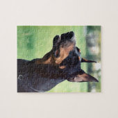 Dreamweaver Doberman Pinscher Face Painting Legpuzzel (Horizontaal)