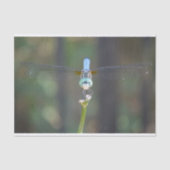 Dreamweaver Dragonfly tissuepapier (Voorkant)