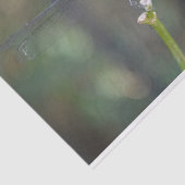 Dreamweaver Dragonfly tissuepapier (Detail)