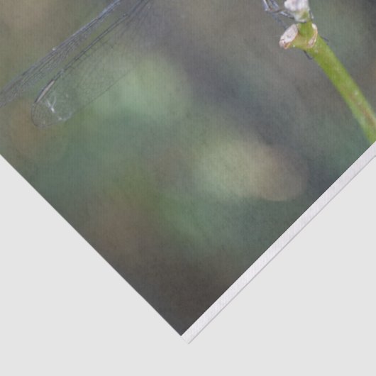 Dreamweaver Dragonfly tissuepapier (Detail)