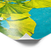 Dreamweaver Fans Foto Afdruk (Hoek)