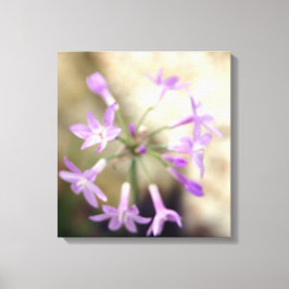 Dreamweaver Flora Canvas Afdruk