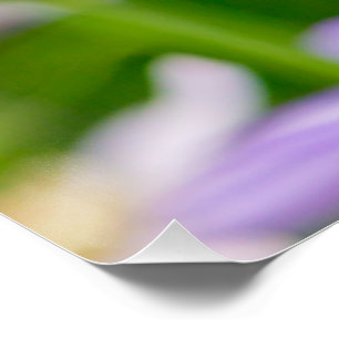 Dreamweaver Flowers—Paars Perfect Poster