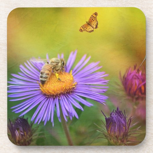 Dreamweaver Garden Onderzetters (Voorkant)
