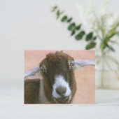 Dreamweaver Handsome Goat Briefkaart (Staand voorkant)