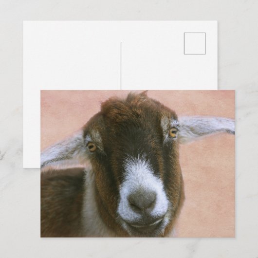 Dreamweaver Handsome Goat Briefkaart (Voorkant / Achterkant)