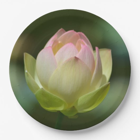 Dreamweaver Lotus Blossom Papieren Bordje (Voorkant)