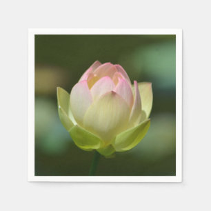 Dreamweaver Lotus Blossom Servetten