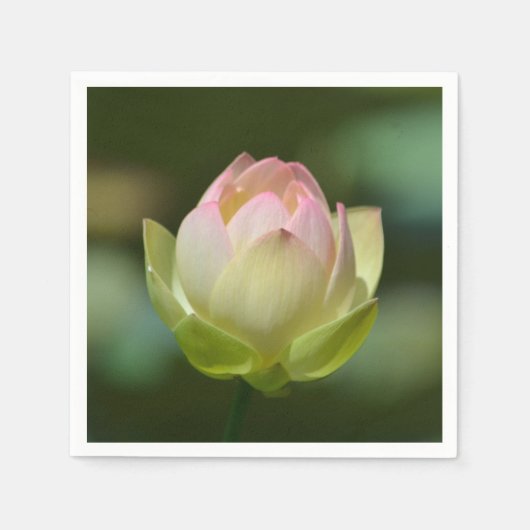 Dreamweaver Lotus Blossom Servetten (Voorkant)