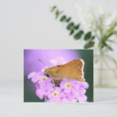 Dreamweaver Moth Briefkaart (Staand voorkant)