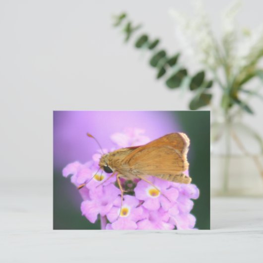 Dreamweaver Moth Briefkaart (Staand voorkant)