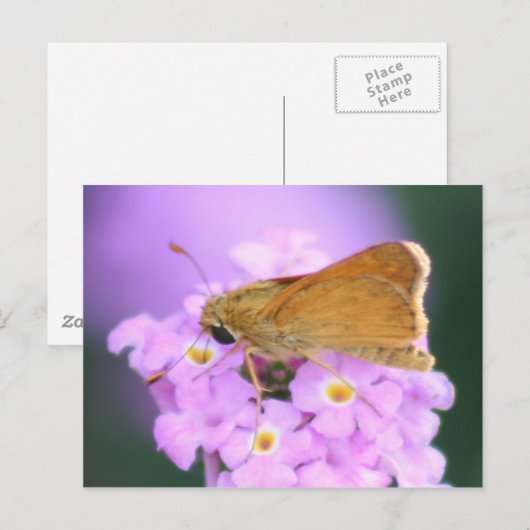 Dreamweaver Moth Briefkaart (Voorkant / Achterkant)