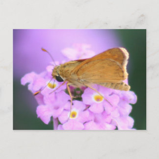 Dreamweaver Moth Briefkaart