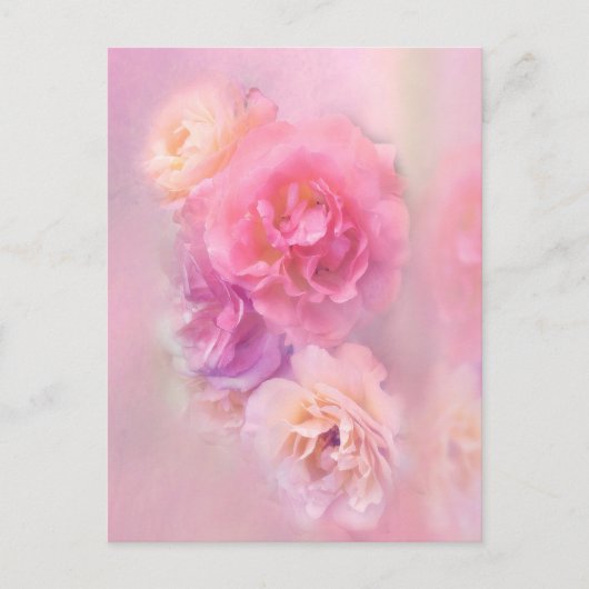 Dreamweaver Pastel-Rozen Briefkaart (Voorkant)