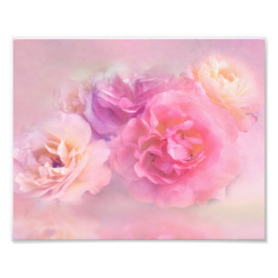 Dreamweaver Pastel-Rozen Foto Afdruk