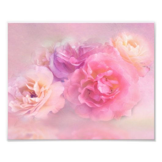 Dreamweaver Pastel-Rozen Foto Afdruk (Voorkant)