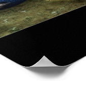 Dreamweaver Poster (Hoek)