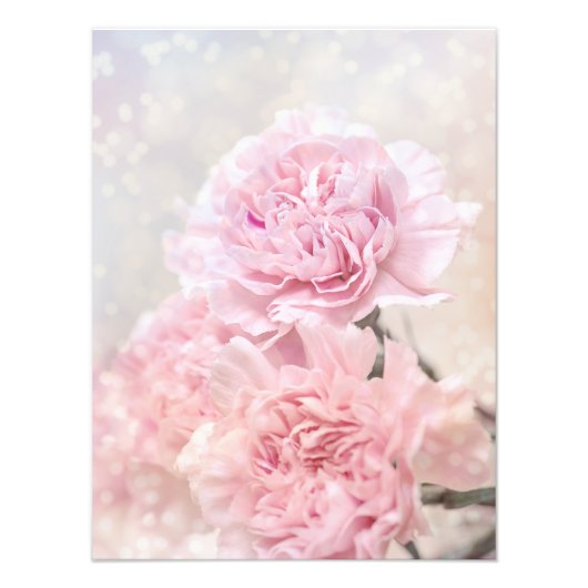 Dreamweaver Romantic Roze anjers  Foto Afdruk (Voorkant)