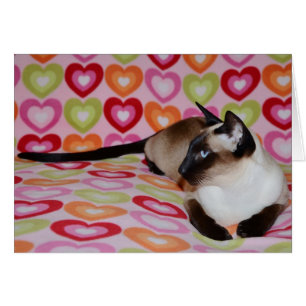 Dreamweaver Siamese Cat Hearts