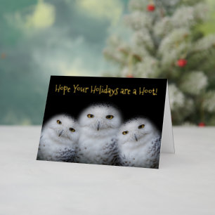 Dreamweaver Snowy Owls Kerstfamilie Funny Hoot Folie Feestdagenkaart