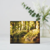 Dreamweaver Swan Briefkaart (Staand voorkant)
