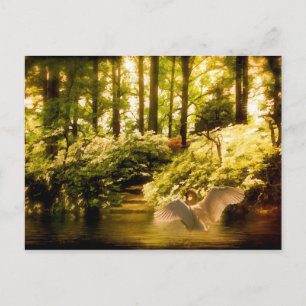 Dreamweaver Swan Briefkaart