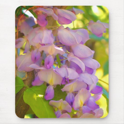 Dreamweaver Wisteria Flower Muismat (Voorkant)