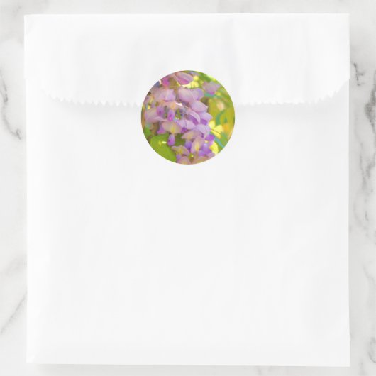 Dreamweaver Wisteria Flower Ronde Sticker (Tas)