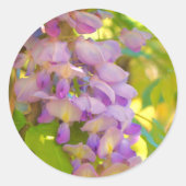 Dreamweaver Wisteria Flower Ronde Sticker (Voorkant)