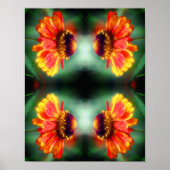 Dreamweaver Zinnia Flower Abstracte Art Poster (Voorkant)